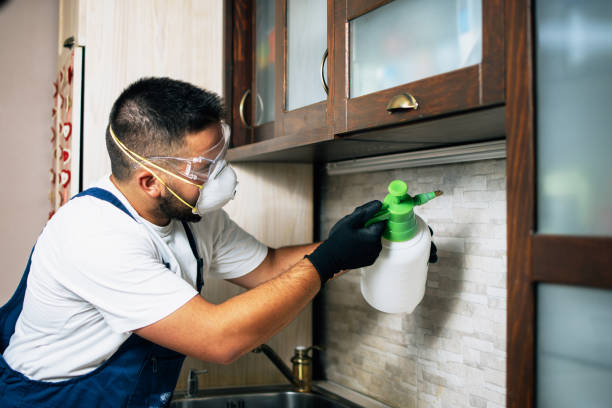 Best Mosquito Control Services  in Rincon, GA