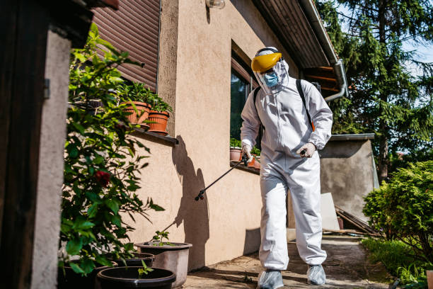 Best Affordable Pest Control Services  in Rincon, GA