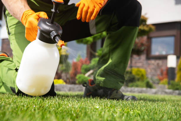Best Ant Control Services  in Rincon, GA