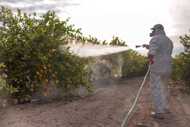 Best Cockroach Control Services  in Rincon, GA