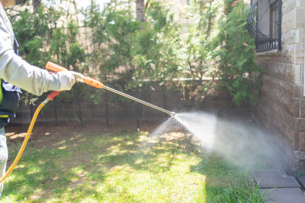 Spider Control Near Me in Rincon, GA