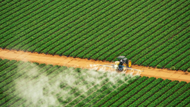 Reliable Rincon, GA Pest Control Solutions