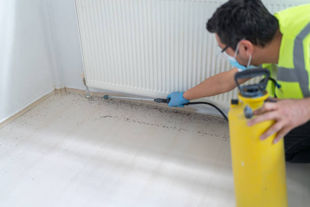 Best Residential Pest Control  in Rincon, GA